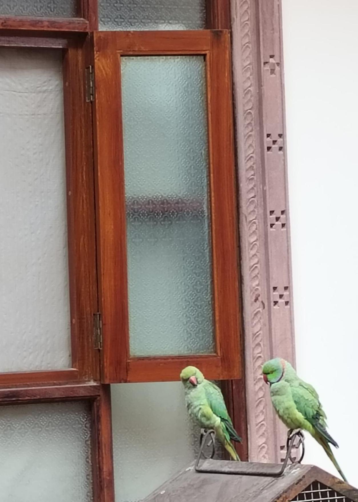 Rigmor Haveli Hotel Jodhpur  Exterior photo